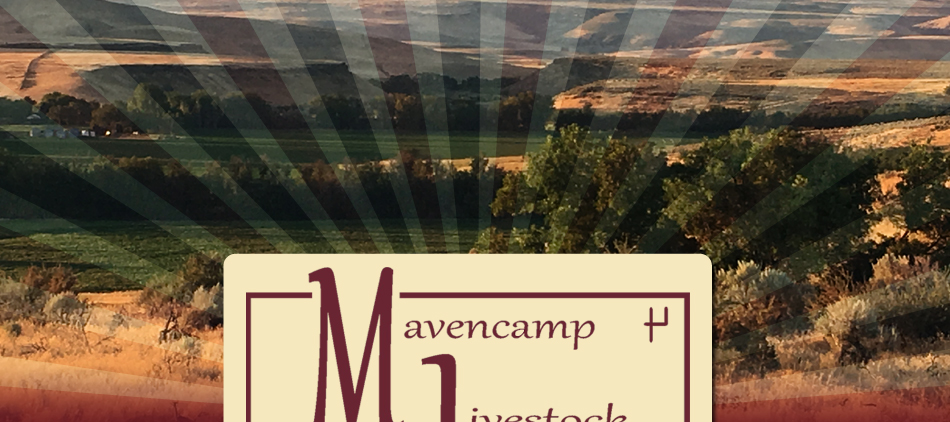 Mavencamp Livestock